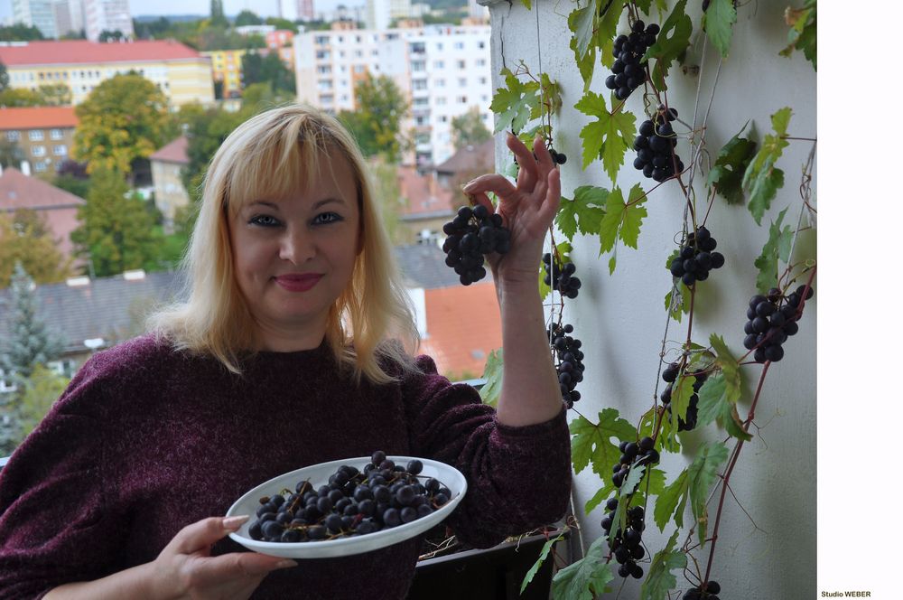 Ernte auf dem Balkon