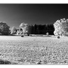 Ernte eingerollt - Panorama