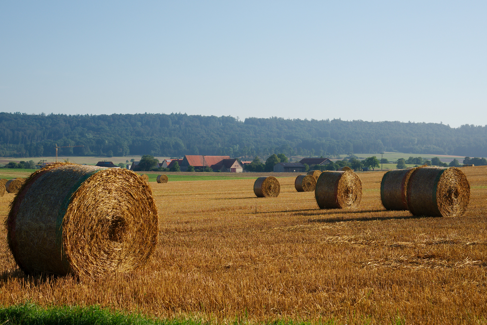 Ernte gut, alles gut