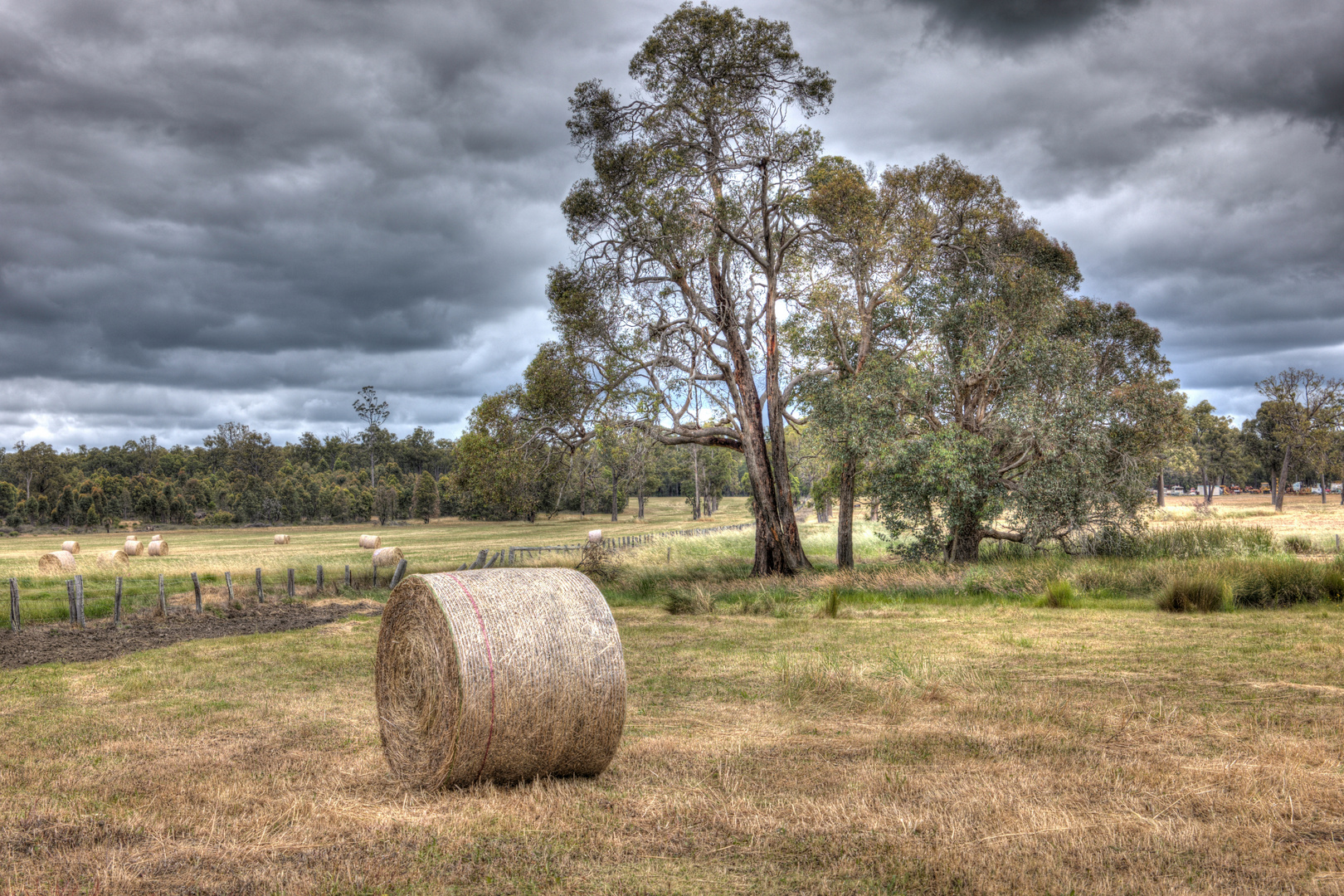 Ernte = HAY HARVEST SEASON