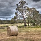 Ernte = HAY HARVEST SEASON