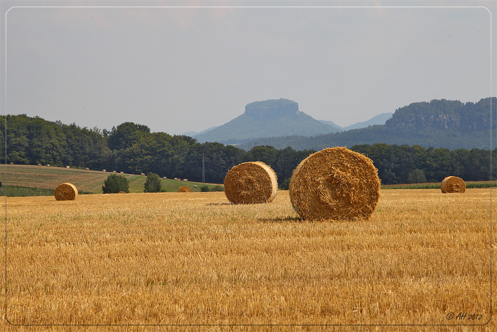 Ernte im Elbsandsteingebirge