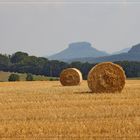 Ernte im Elbsandsteingebirge