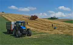 Ernte im Emmental II