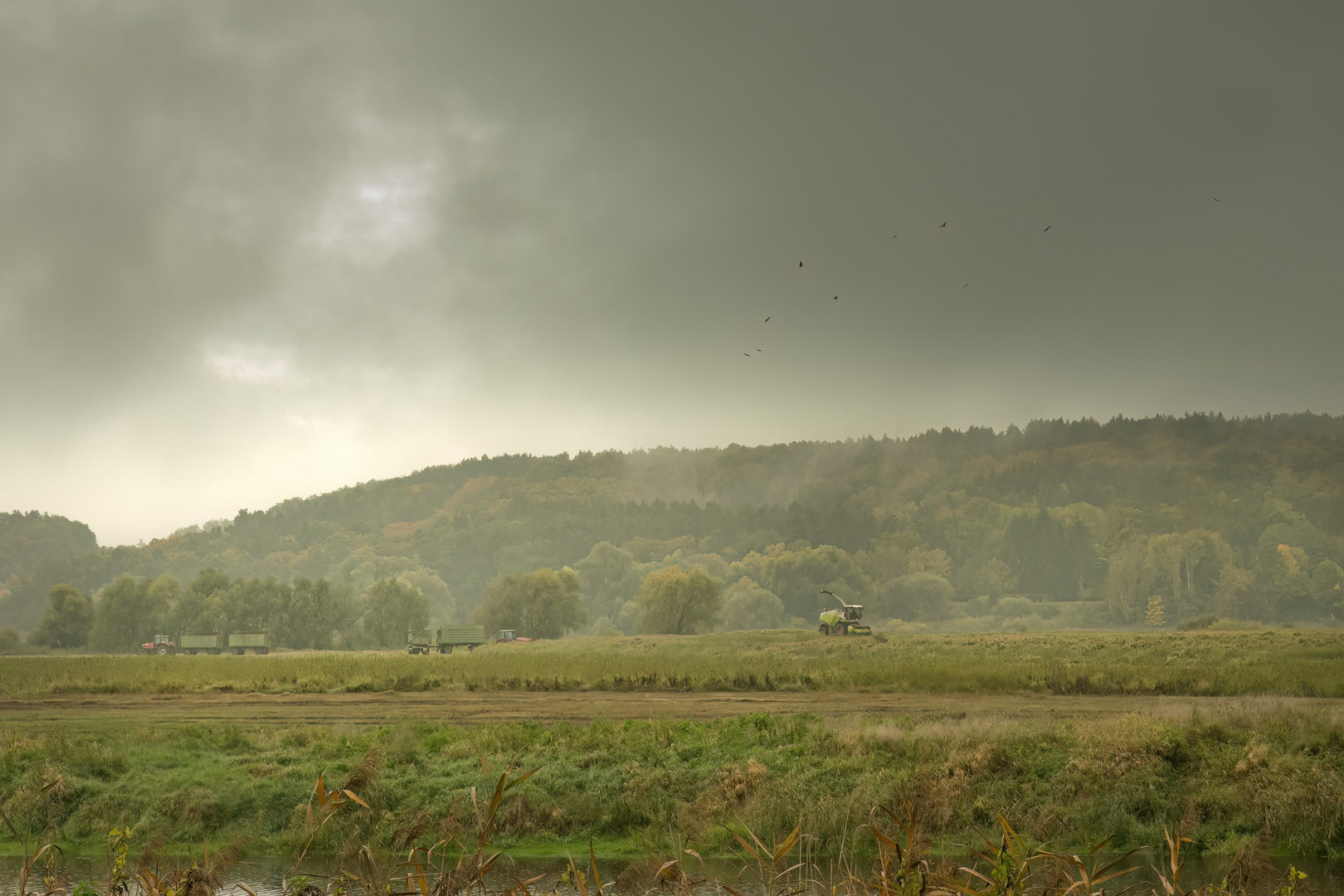 Ernte im Regen