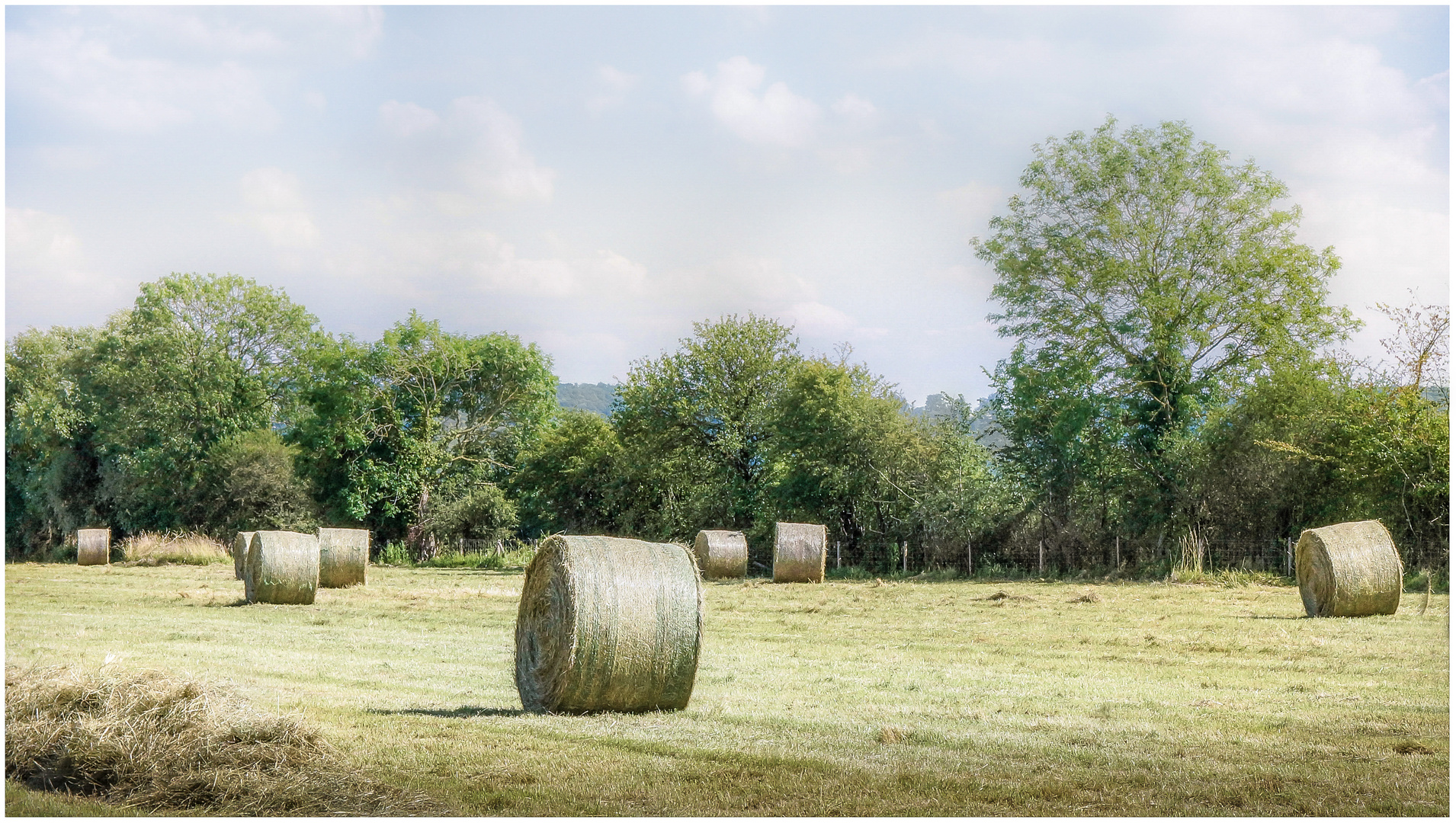 Ernte in der Normandie