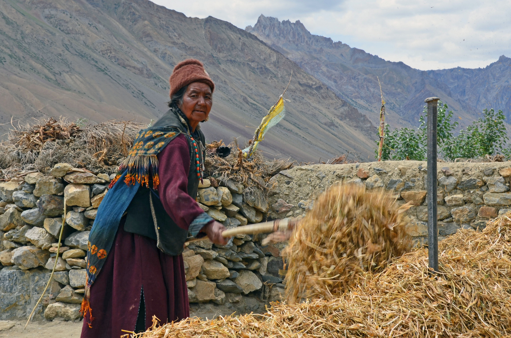 Ernte in Pidmo, Zanskar