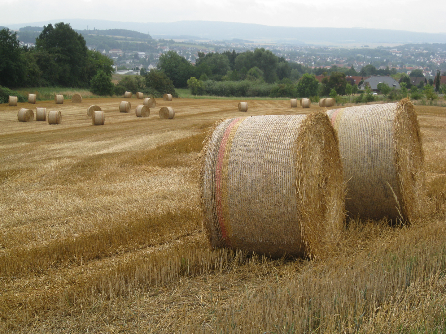 Ernte Kassel-Hasenhecke 2015 | 3