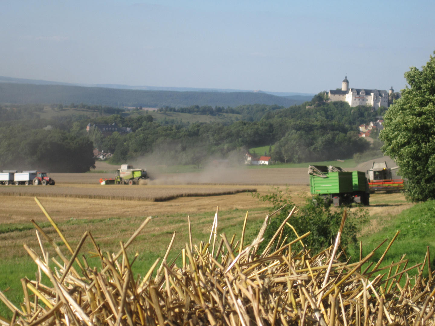 Ernte mit Burgblick