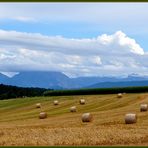 Ernte mit Traunstein " im Visier"