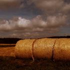 Ernte oberhalb meines Hauses