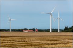 Ernte wegen Regen unterbrochen