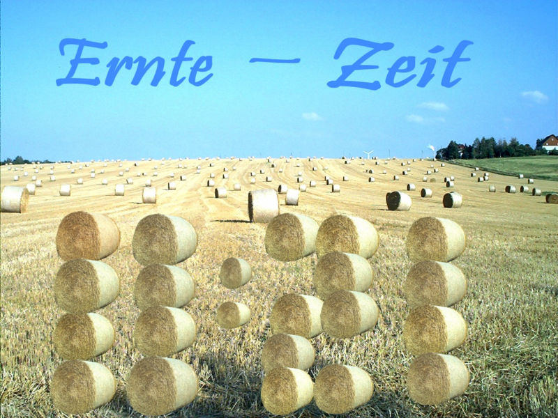 ERNTE - ZEIT 11:21 Uhr