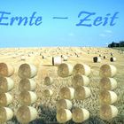 ERNTE - ZEIT 11:21 Uhr