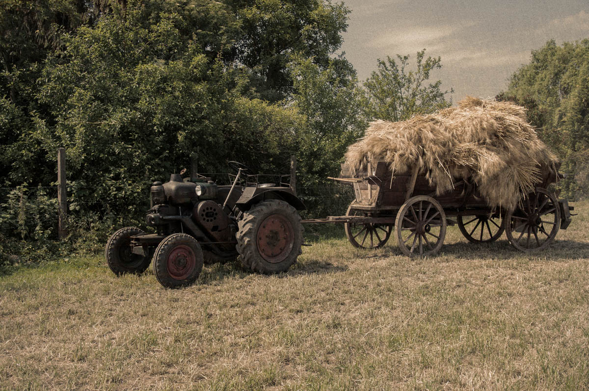 Ernte Zeit