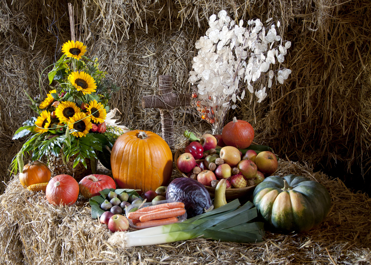 Erntedank Foto & Bild | stillleben, food-fotografie, getreide