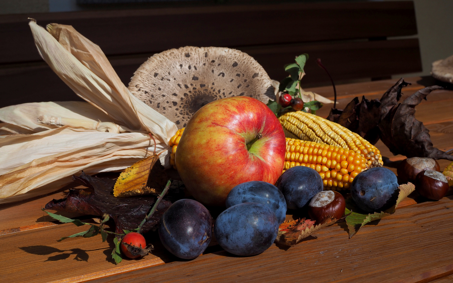 Neu de premium mitgliedschaft kostenlos Neu de premium mitgliedschaft kostenlos