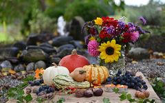 Erntedankfest in meinem Garten
