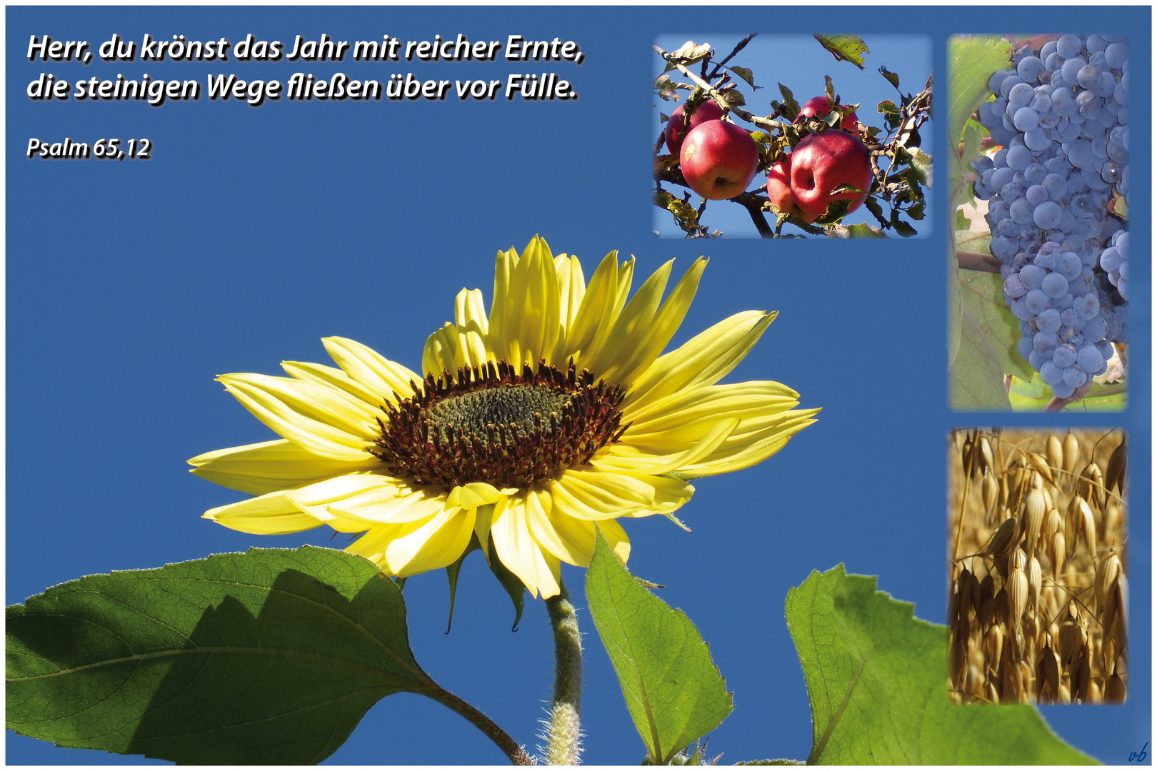 Erntedankfest.....Psalm 65,12 Foto & Bild karten und kalender, bibel