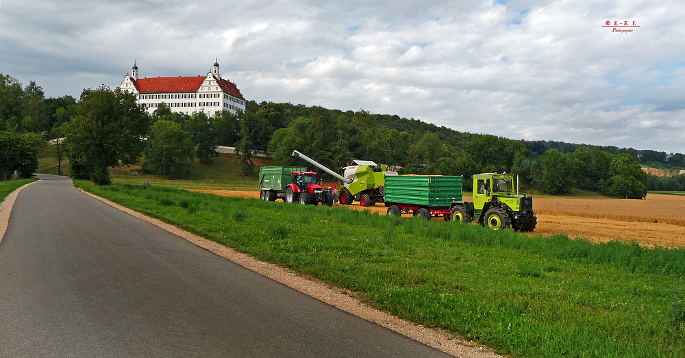 " Ernteeinbringung am Schloss Mochental "