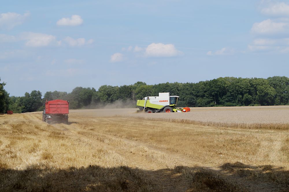 Ernteeinsatz für CLAAS LEXION 540