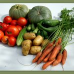 -Erntefrich aus dem Gemüsegarten-