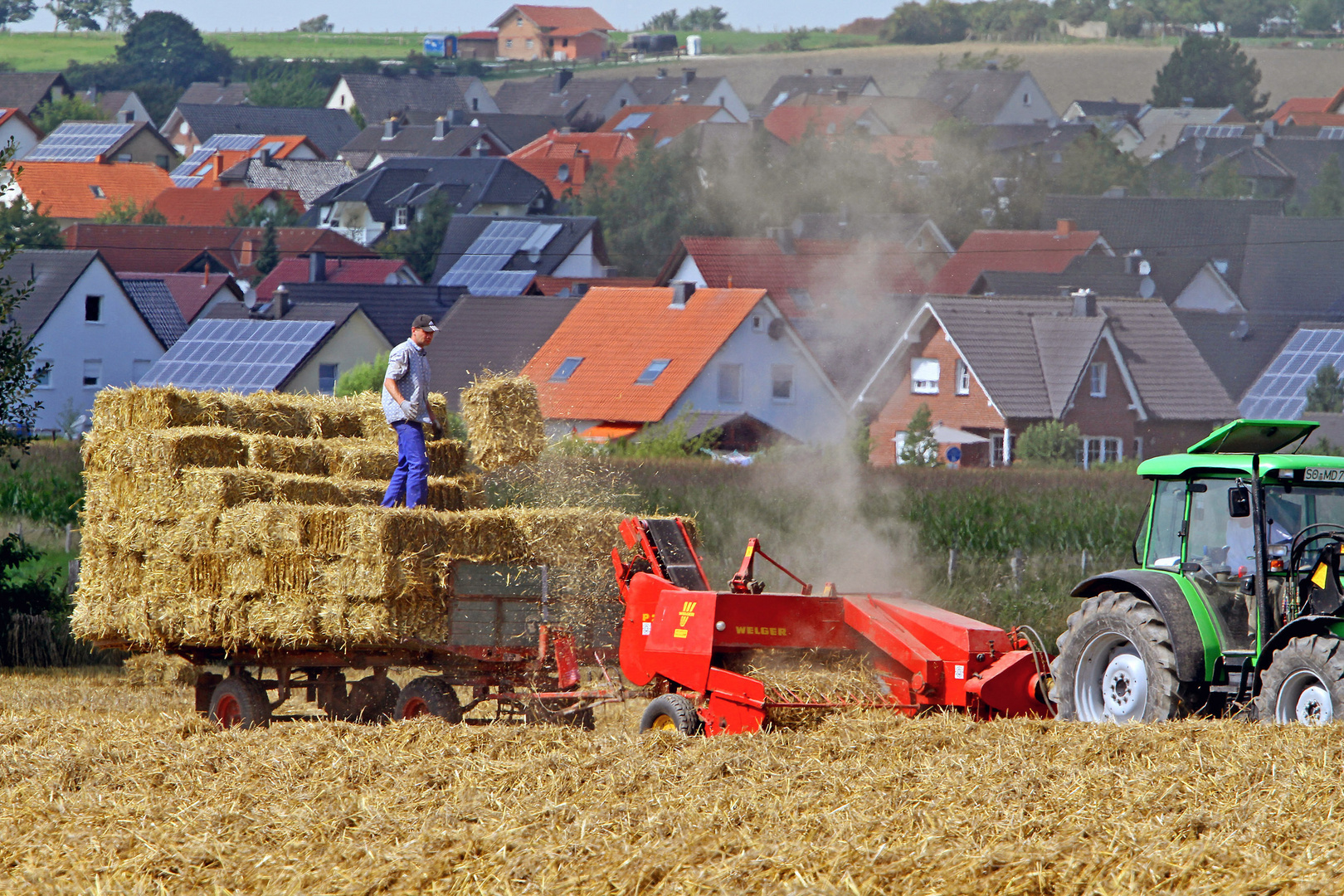 Erntehelfer bei der Arbeit