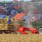 Erntehelfer bei der Arbeit