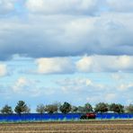 Erntesaison  blau