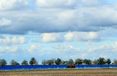 Erntesaison  blau