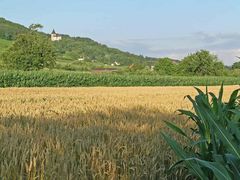 Erntesegen vor dem Schloss