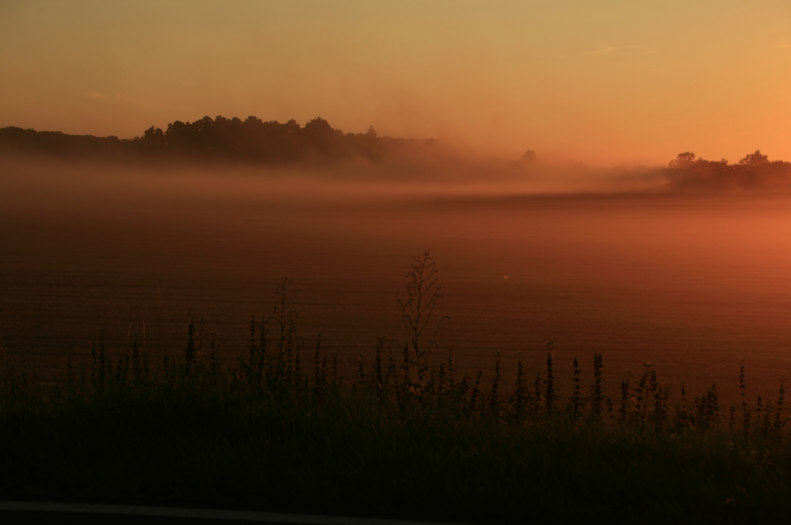 Erntestaub im Abendlicht