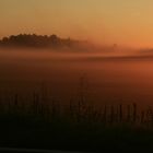 Erntestaub im Abendlicht