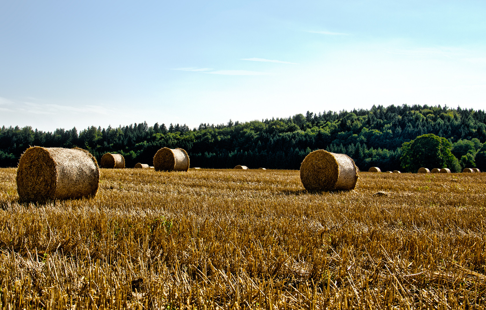 Erntetag - HDR