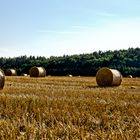 Erntetag - HDR