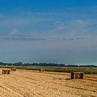 Erntetag im schönen Ostfriesland