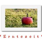 Erntezeit