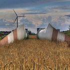 HDRI und TM