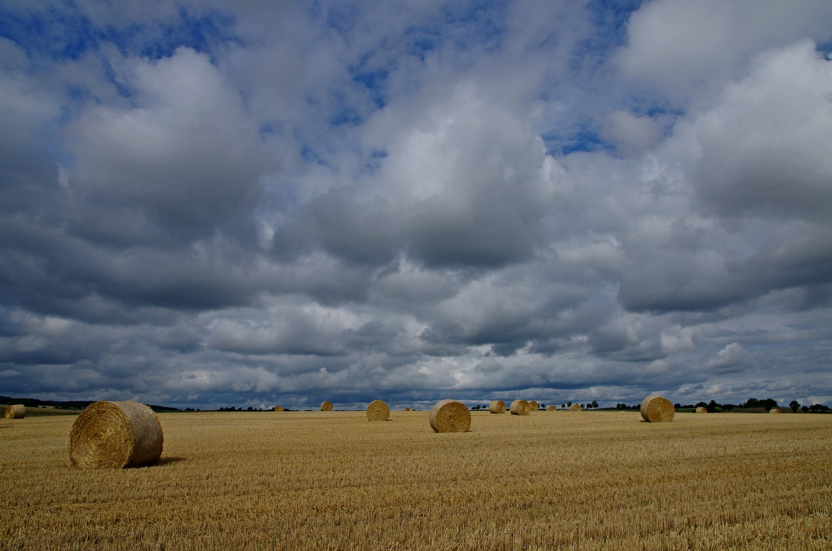 Erntezeit 15.8.15