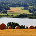 Erntezeit am Längsee