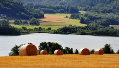 Erntezeit am Längsee