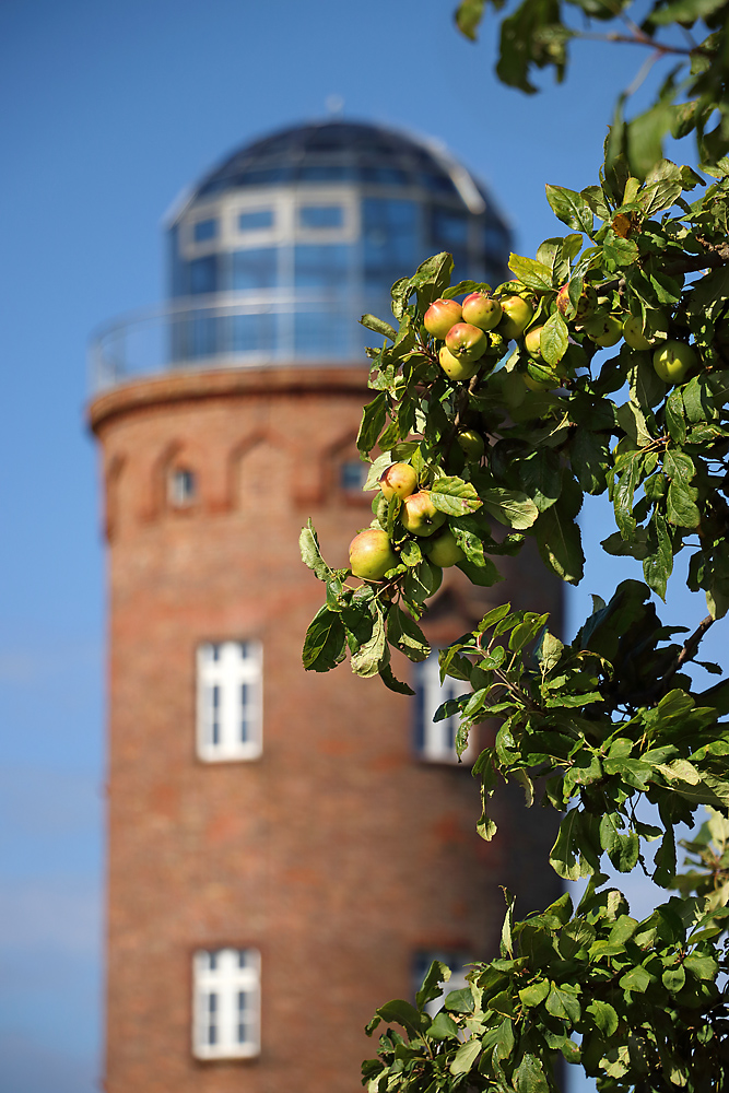 Erntezeit auf Rügen