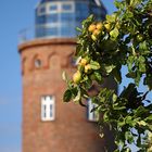 Erntezeit auf Rügen