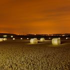 Erntezeit * harvest season