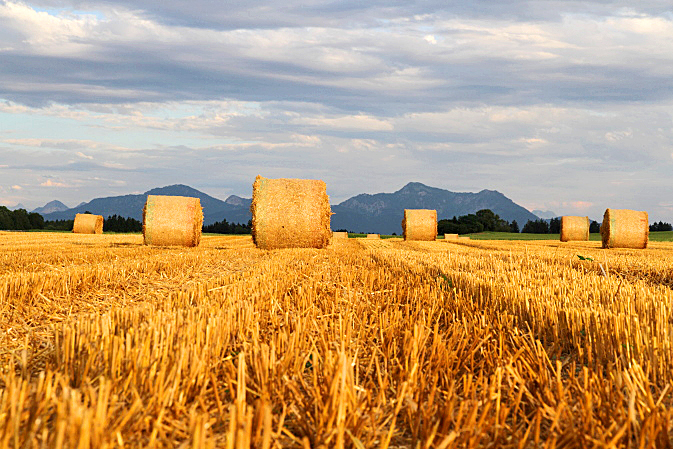 Erntezeit im Chiemgau