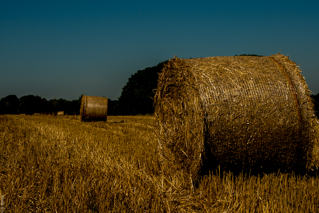 Erntezeit im Dachauer Hinterland