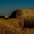 Erntezeit im Dachauer Hinterland