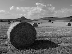 Erntezeit im Hegau