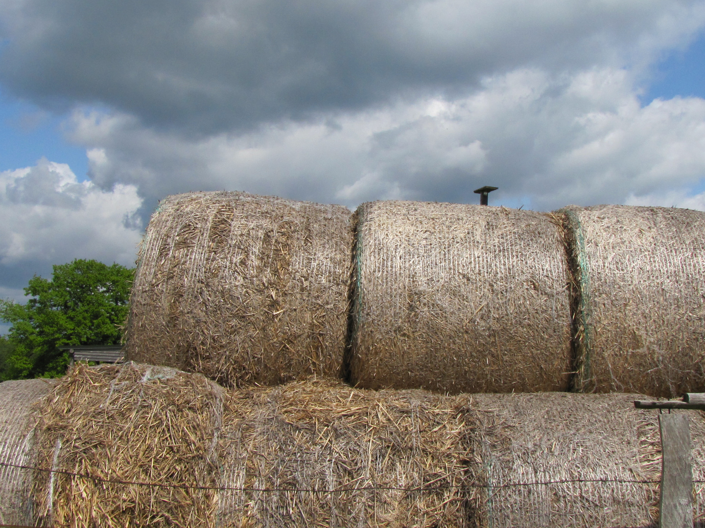 Erntezeit im Herbst