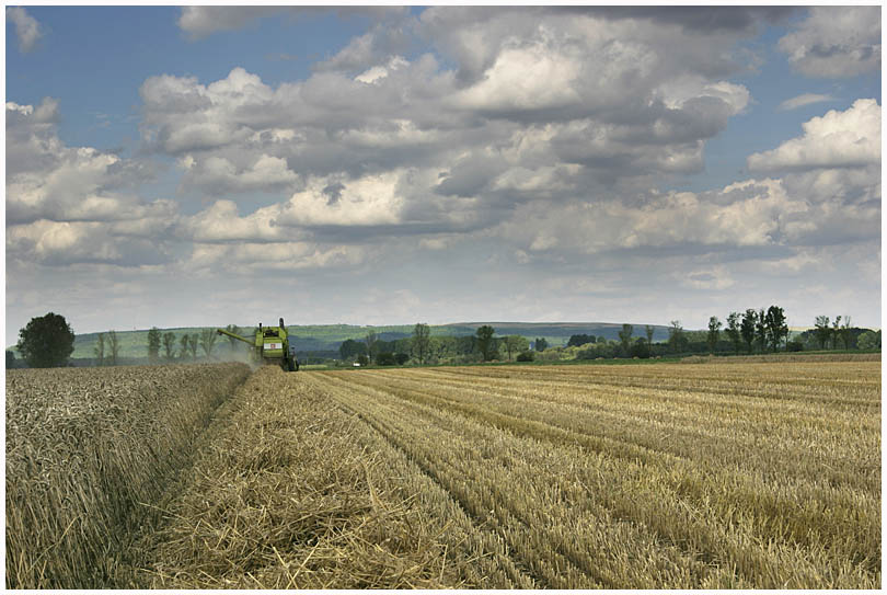 Erntezeit im Jülicher Land von Klaus Basler